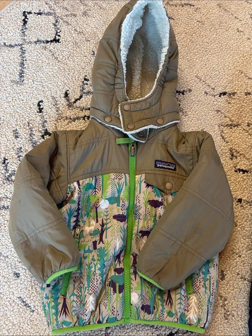 Patagonia Baby/Toddler Snow Set Jacket + Bibs 2T Forest Print